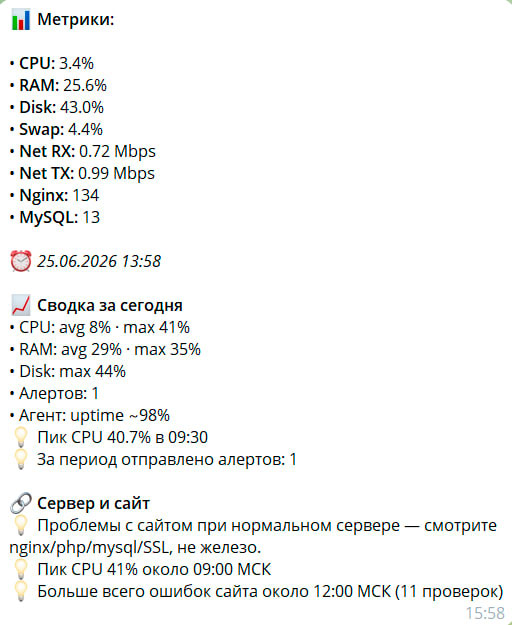 Метрики VDS в Telegram